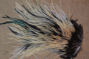 <Flatwing Rooster Saddle>